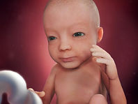 abortion at 28 weeks