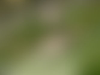 【静岡・沼津】奥和の干物の物語