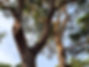 20250414_075558.jpg