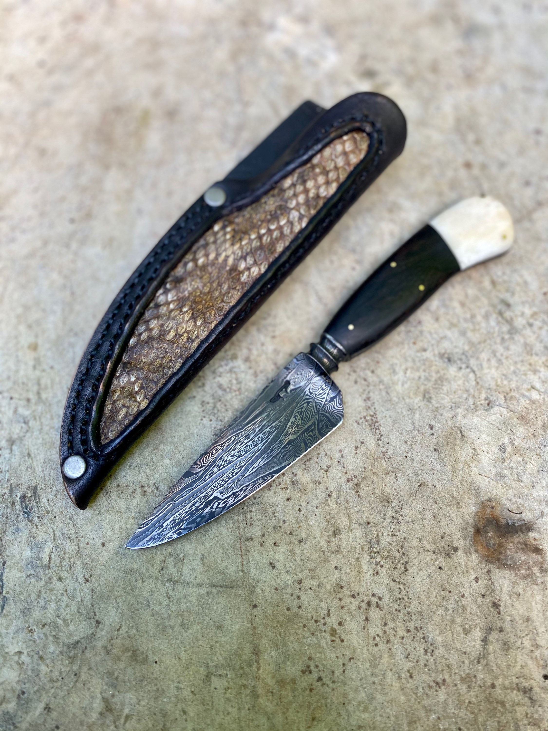 Rattlesnake edc
