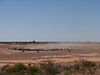 PC030546.jpg