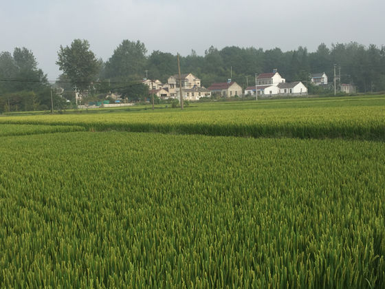 Progress - or a War Zone ?