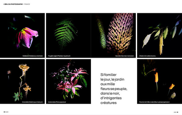 PAGE03 GEO PLANTES.jpg