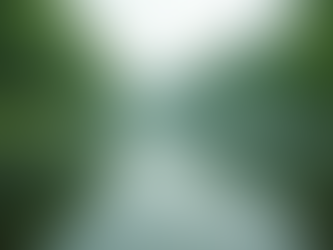 Experience Private Kayak Tours 