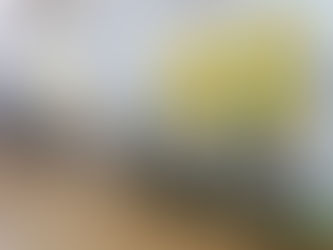 Tenuun.O opened his first independent hand painting exhibition