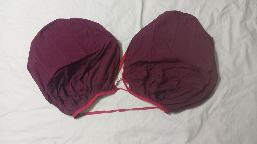 Thumbnail: Burgundy Ballgown Costume