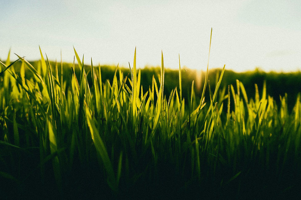 sindy-sussengut-QH4rUktxEIc-unsplash.jpg