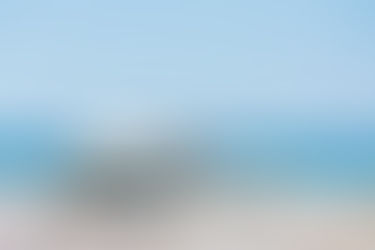 What we read this summer