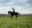 Young woman riding a horse on the green field_edited_edited_edited.jpg