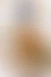 fried blue cheese olives