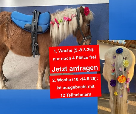 Ponyfreizeit_Start_1820x1440_96dpi.jpg