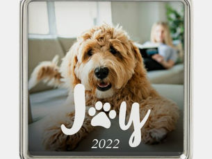 Big Deals! Paws & Joy Photo Pet Christmas Metal Ornament