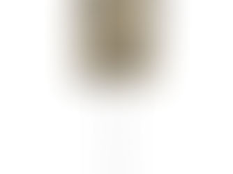 Hot Deals! Sepia Gerbera Floral Pattern Table Lamp