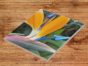 Hot Deals! Tropical Bird of Paradise Bloom Floral Ceramic Tile