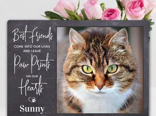 Review Personalized Pet Memorial Paw Prints Cat Photo Plaque