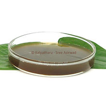 Betel leaves extract_.jpg