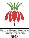 logo colori trasparente (1).png