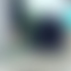 犬の家も建築家仕様。