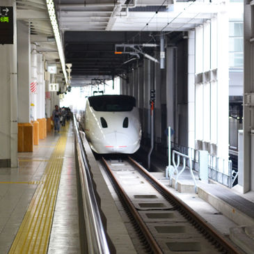 つばめ と かもめ。