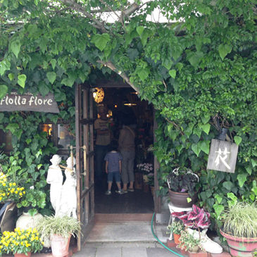 気になるお店２。