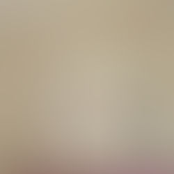 壁仕上がり。－蒲郡の平屋－