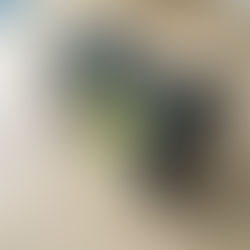 みんな酔う。-Blue House-