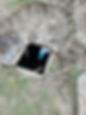 attachment_214792487_90516.jpg