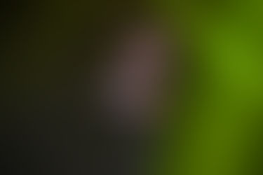 תצוגת האופנה השנתית של גולברי בקיסרייה