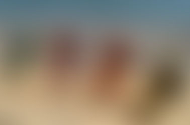 קמפיין פרסום למותג GO PANDA