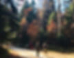 Tara-hiking