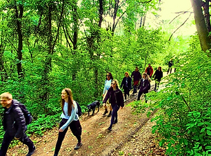 fruska gora hike.png