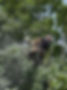 ADS_edited.jpg