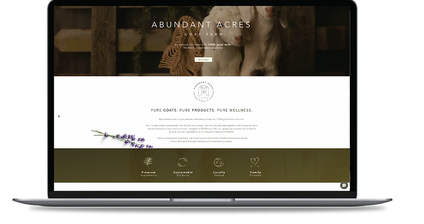 ABUNDNT AC WEBPAGE.png