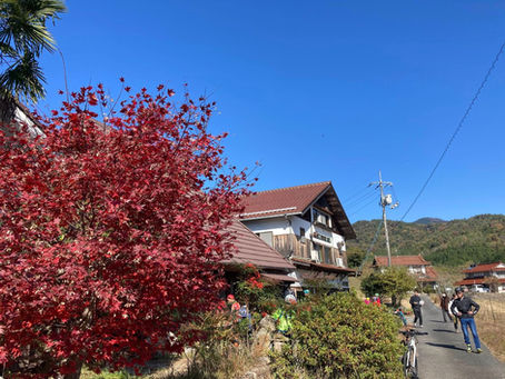 Marche de Cycle Picnic 2025