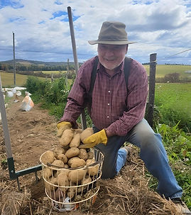 Potato Darrell-fotor-20241018173055.jpg