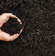 Black Dyed Mulch Mulch Exchange Freehold NJ