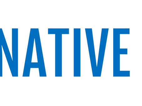 Spotlight on Native Blue: Our Commitment to Quality Service