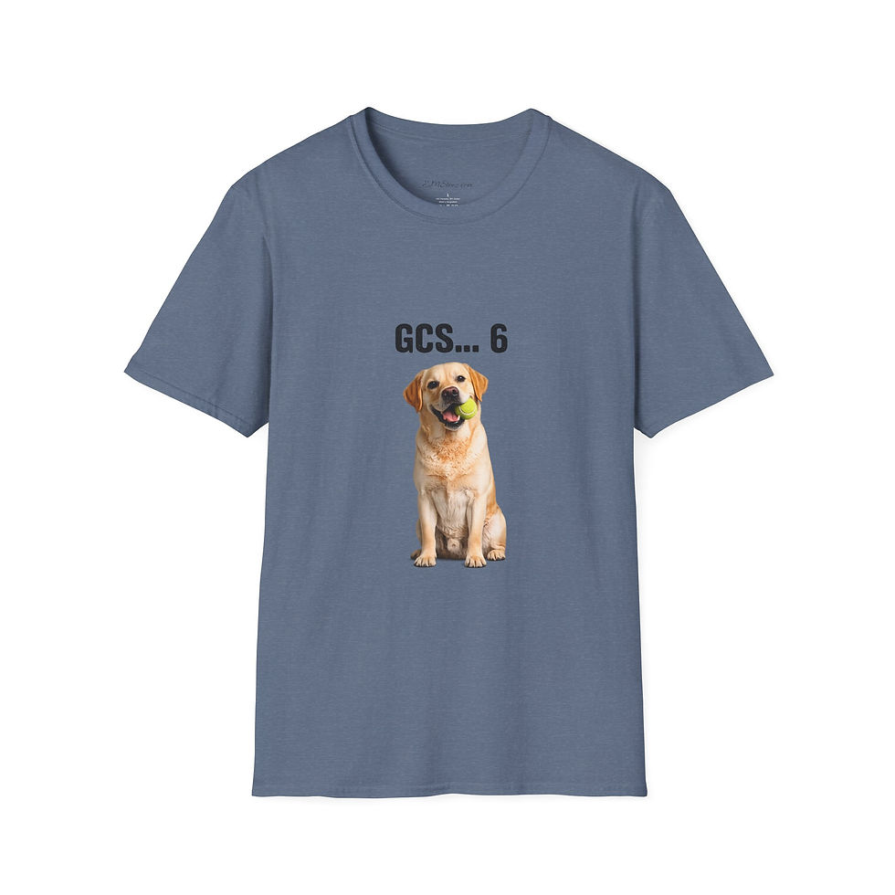 Thumbnail: Golden Retriever Graphic Tee — “GCS... 6” 