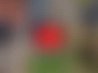 2 drenge klatre over hegnet til en byggeplads på en skole