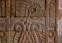 aguila