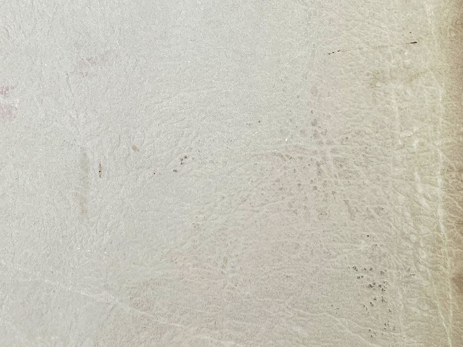 71711794585__66341462-EEBE-4D3D-92FC-43971F28A029_edited.jpg
