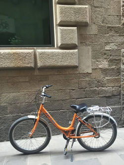 Fat Tire Bike Tours
