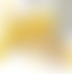 Why I Chose a Topdeck Tour