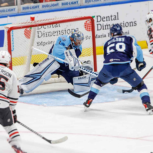 RECAP: Hogs Battle Back To Earn Point In OT Loss