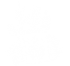 Book or journal surrounded by plants