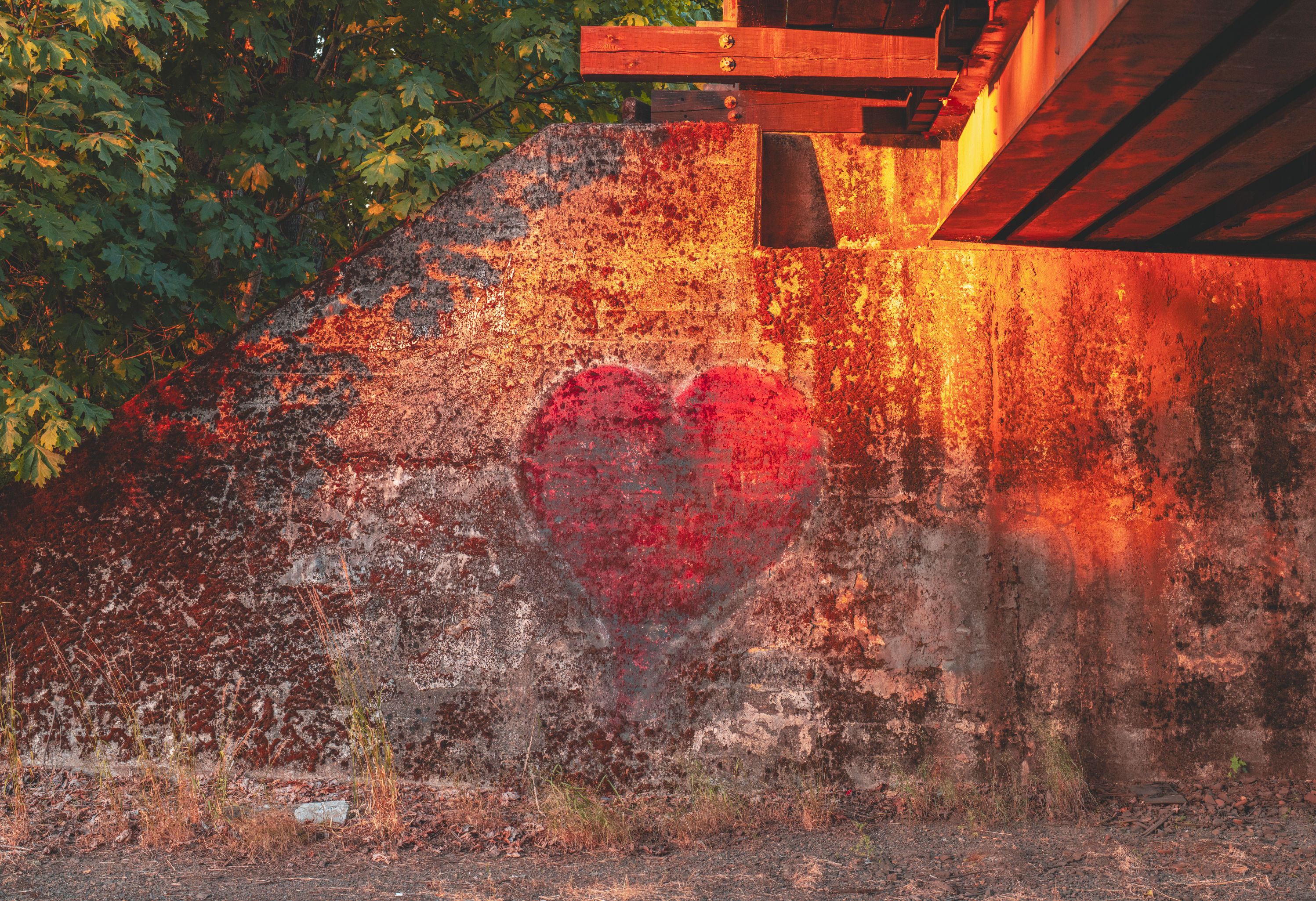 What It Takes to Heal: Course & Book Club for Emotional Restoration