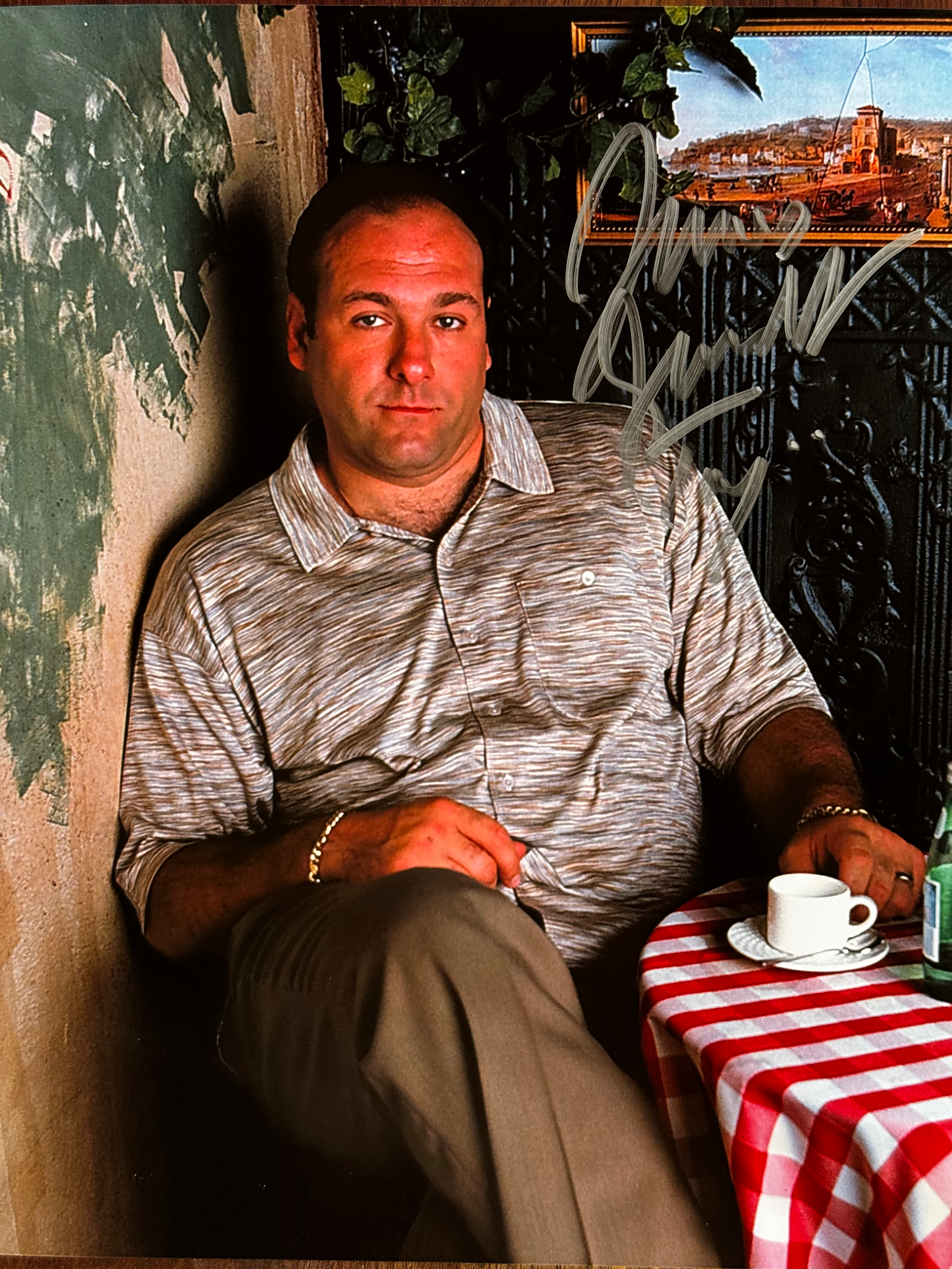 James Gandolfini signed 8x10 photo.167-0151