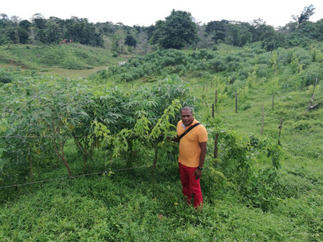 Meet our Leader German Marmolejo and our Farmers in Choco