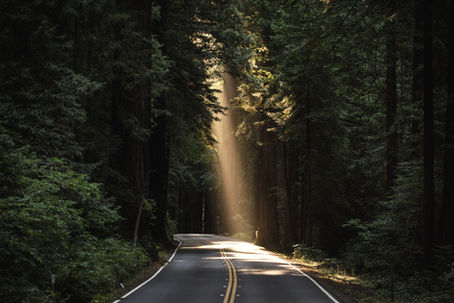 The Search for Yourself