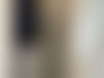 不織布の輸入壁紙